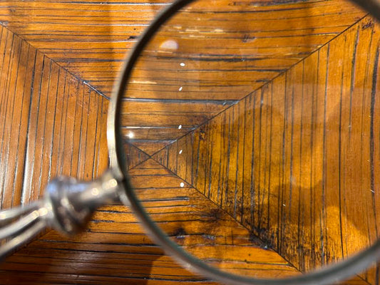 Silver Plated Twisted Magnifying Glass