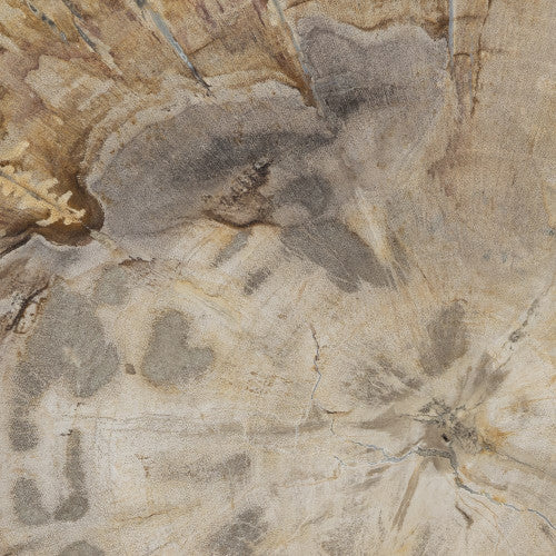 Brass and Light Petrified Wood Small Round Table