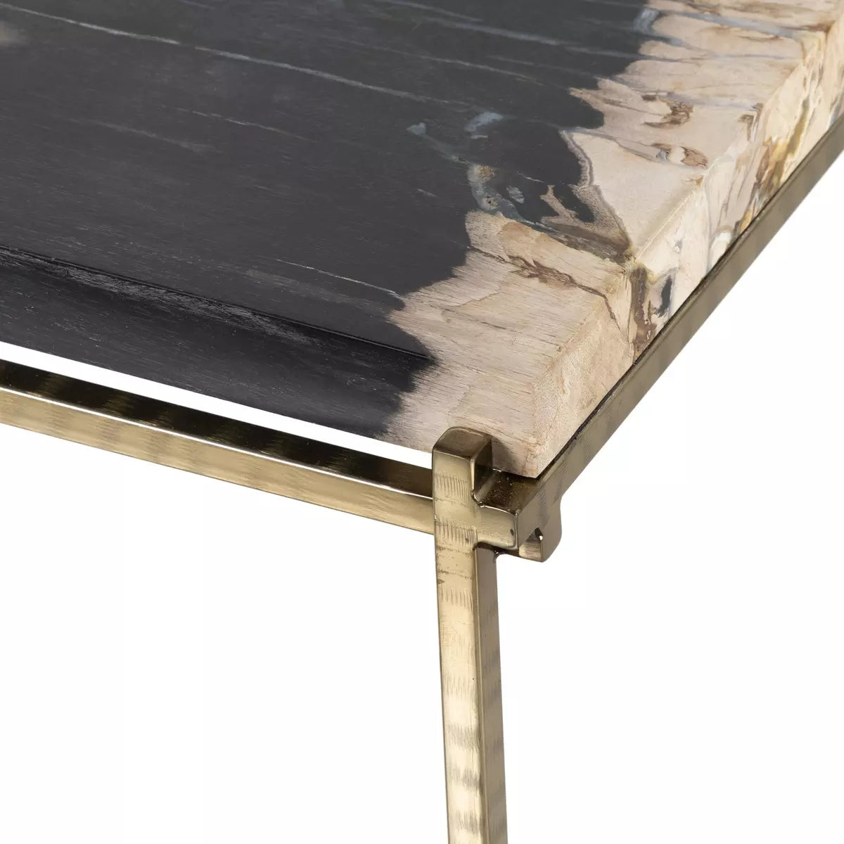 Floating Petrified Wood and Brass End Table