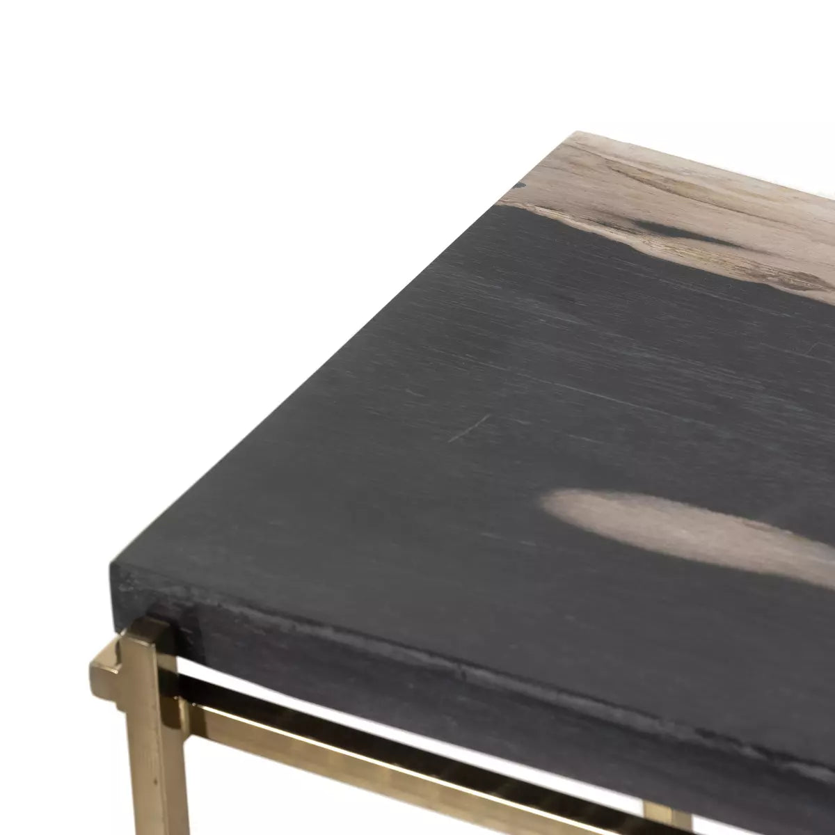 Floating Petrified Wood and Brass End Table
