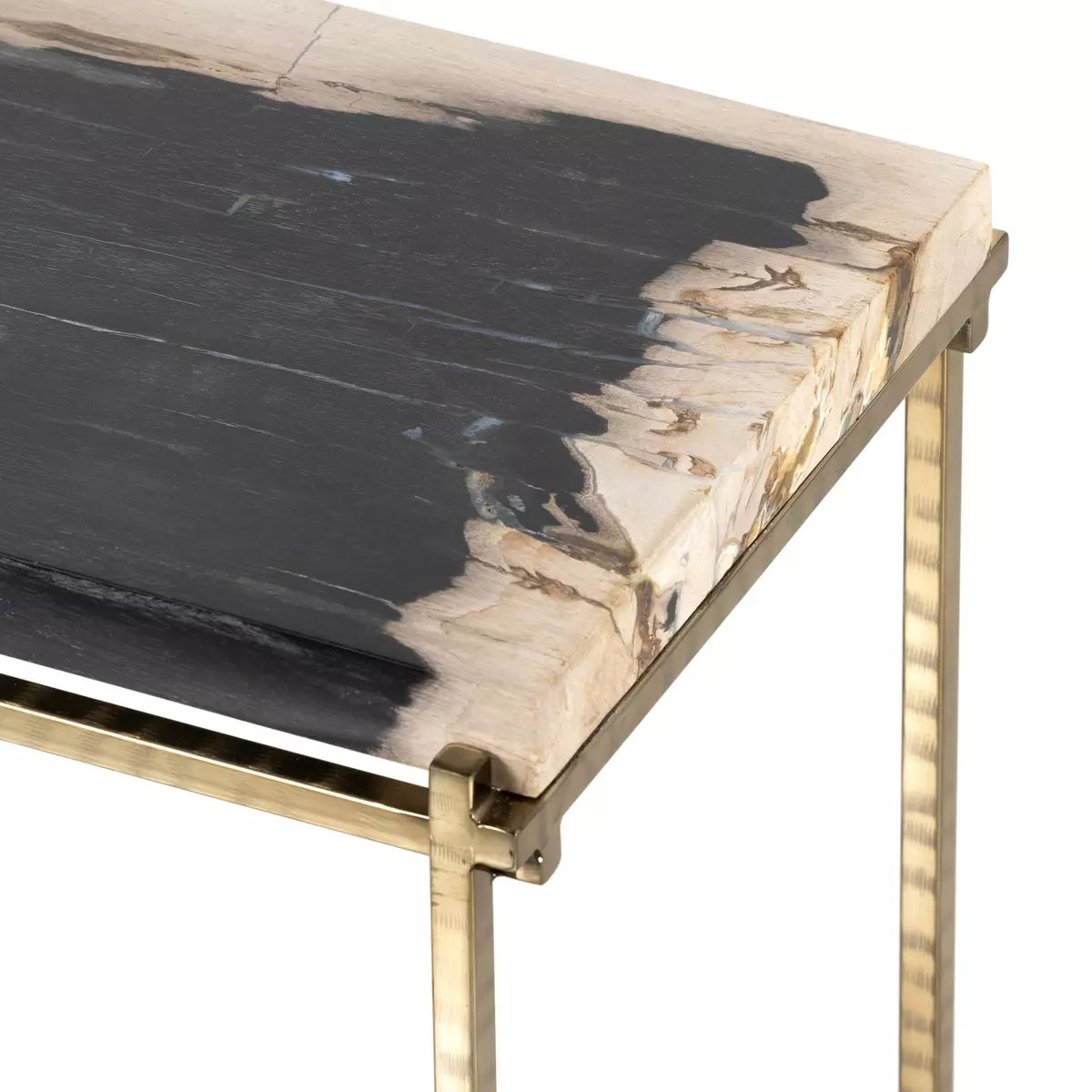 Floating Petrified Wood and Brass End Table
