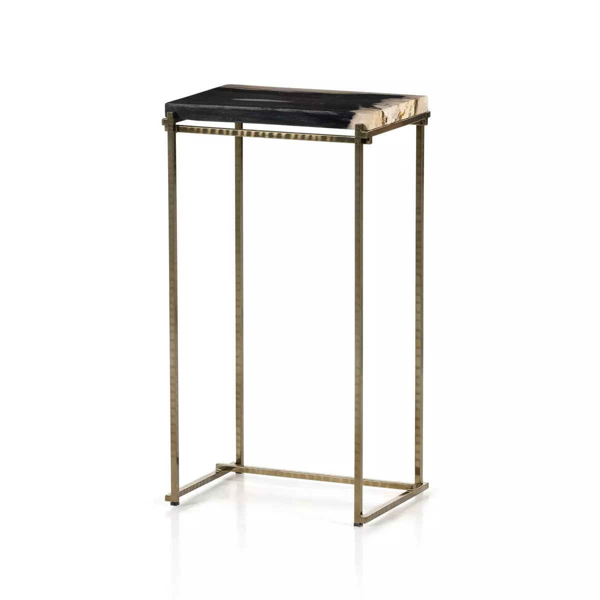 Floating Petrified Wood and Brass End Table