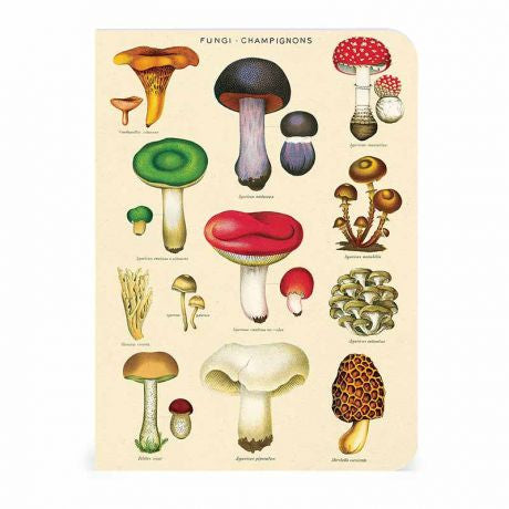 Le Jardin Set of 3 Mini Notebooks