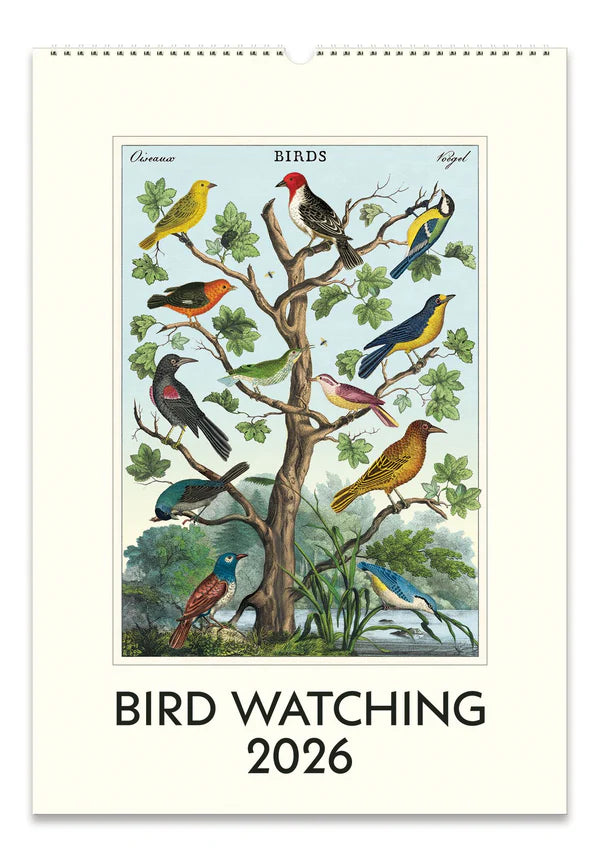 Bird Watching 2026 Calendar