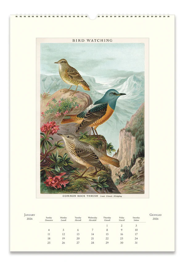 Bird Watching 2026 Calendar