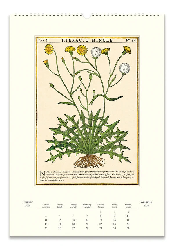 Herbarium 2026 Wall Calendar