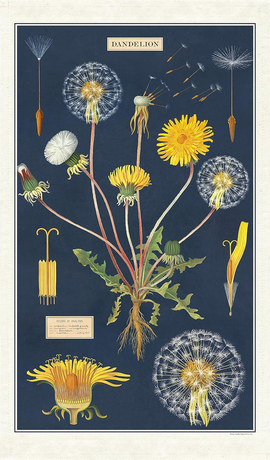 Dandelion Tea Towel