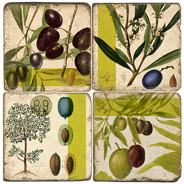Botanical Olive Set of 4 Marble Coasters