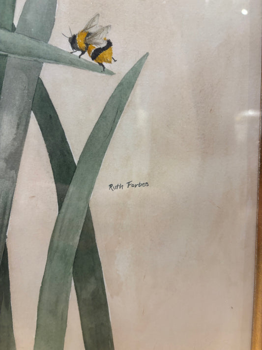 Signed Ruth Forbes Daffodil Watercolor