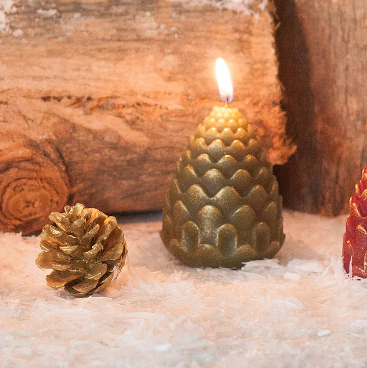 Scented Moss Pine Candle