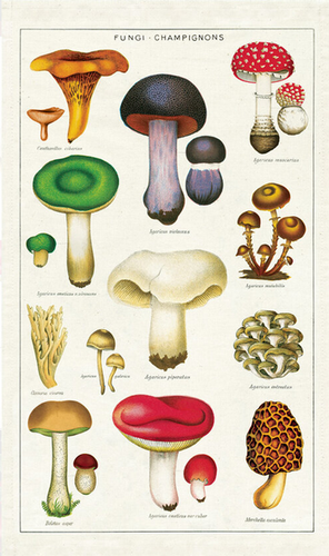 Mushrooms Tea Towel