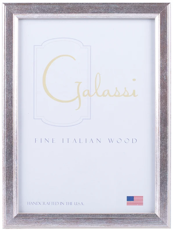 Distressed Silver Frame