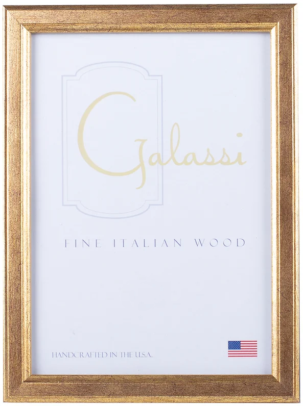 Distressed Gold Frame