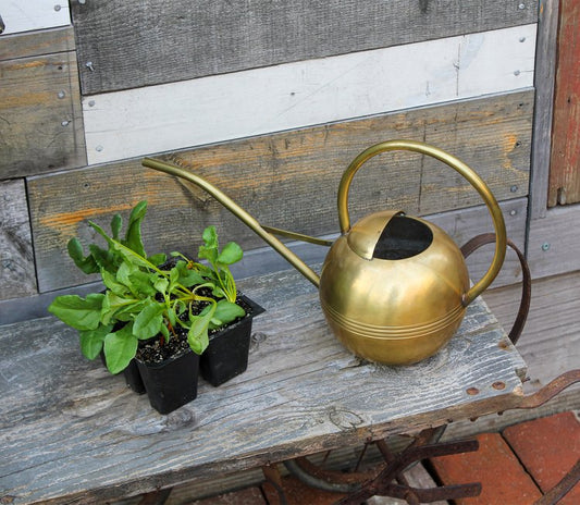 Small Brass Watering Can