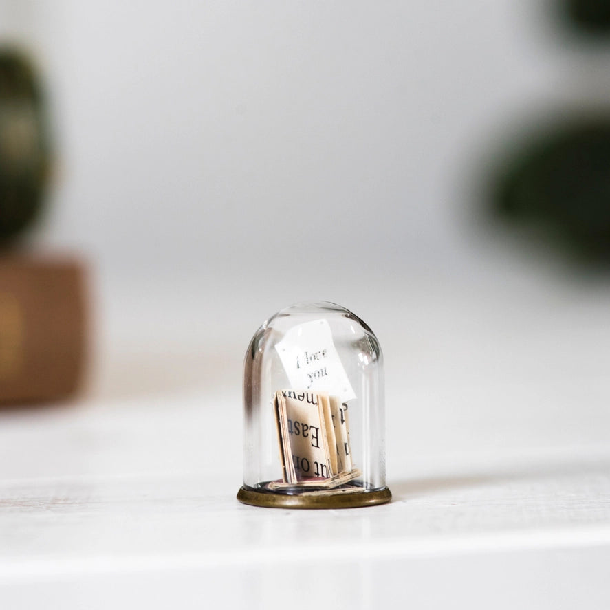 Miniature Library with Personalised Note, Message in Mini Dome