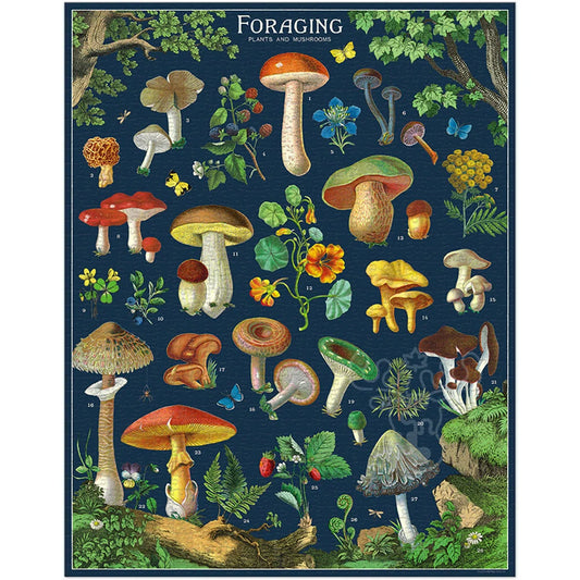Foraging Plants and Mushrooms Puzzle