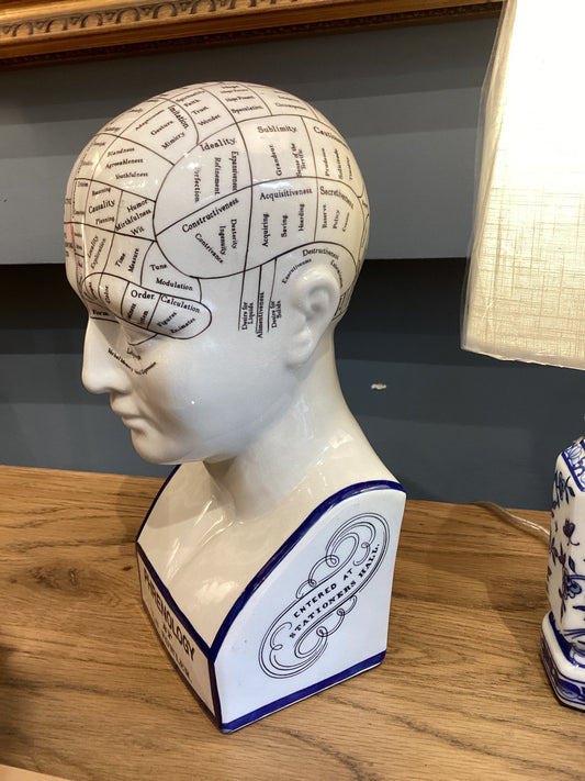 Large Phrenology Head