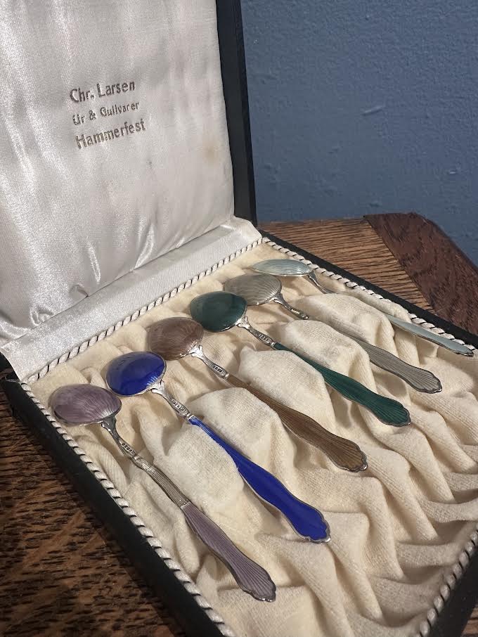 Set of 6 Colorful Demitasse Spoons in Case