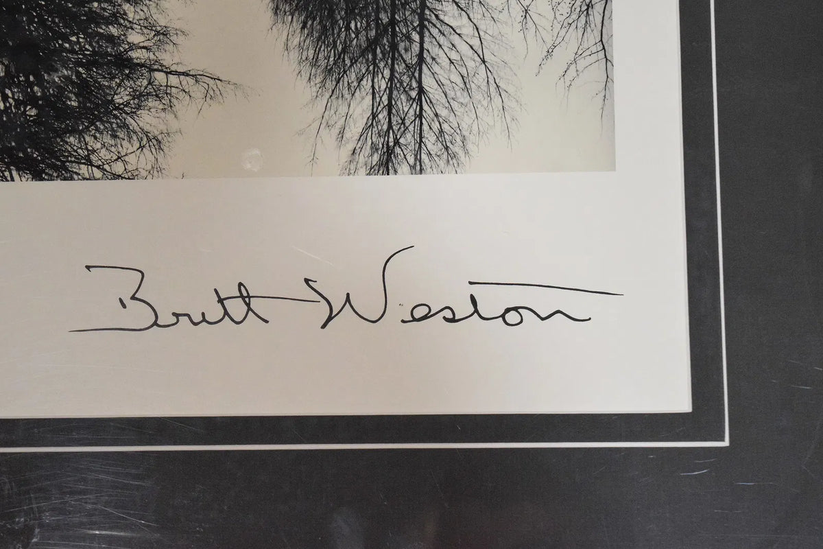 Brett Weston Print Canal, Netherlands, 1971
