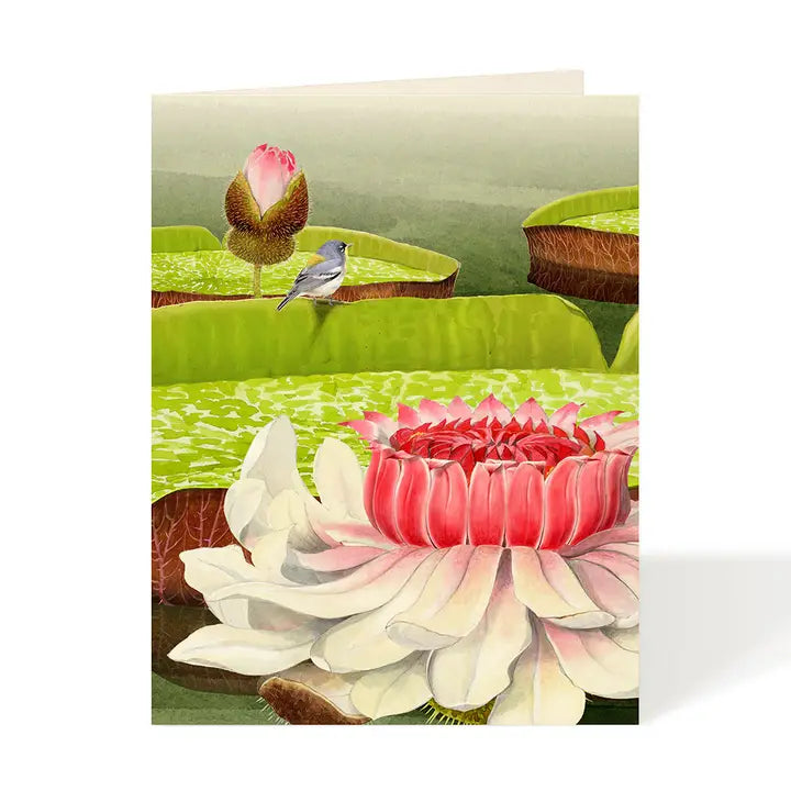 Victoria Water Lilies Flower Garden Card