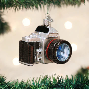 Camera Ornament