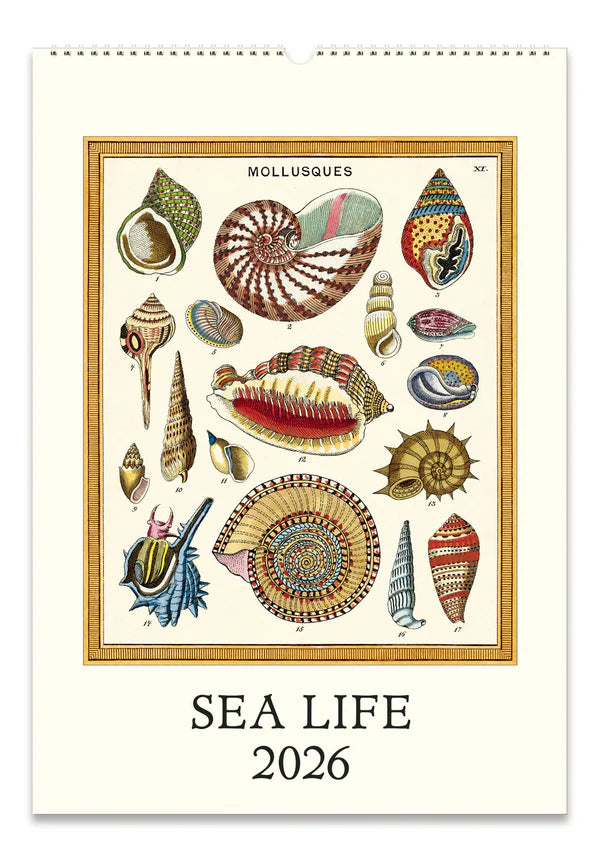 Sea Life 2026 Calendar