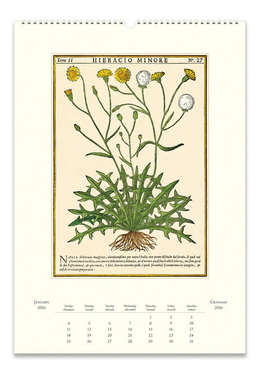 Herbarium 2026 Wall Calendar