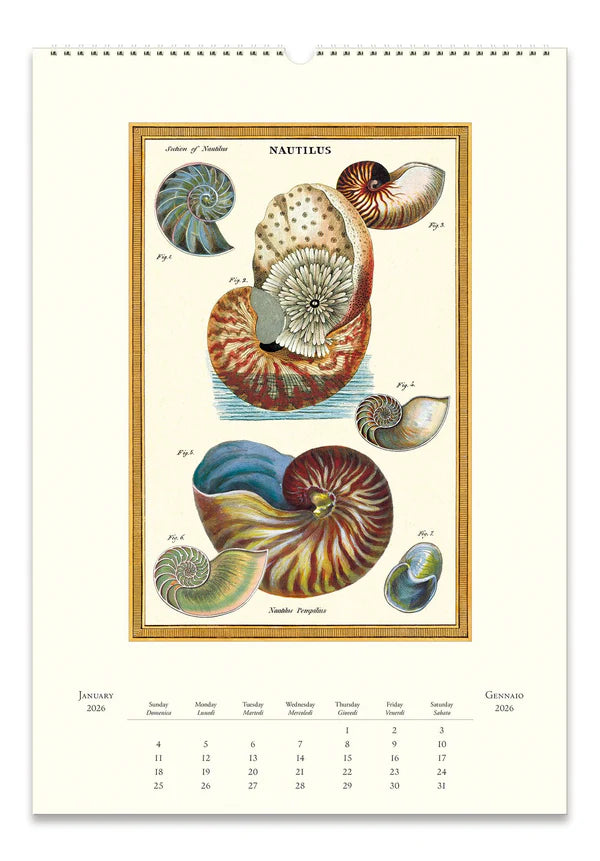 Sea Life 2026 Calendar