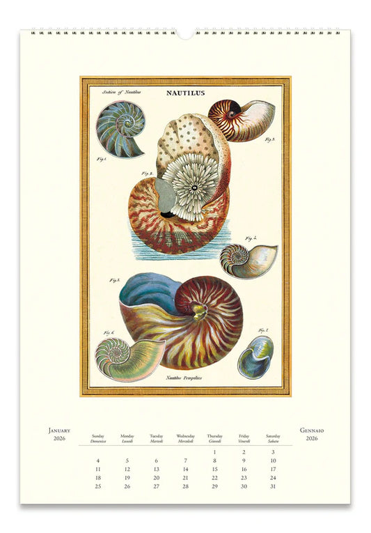 Sea Life 2026 Wall Calendar