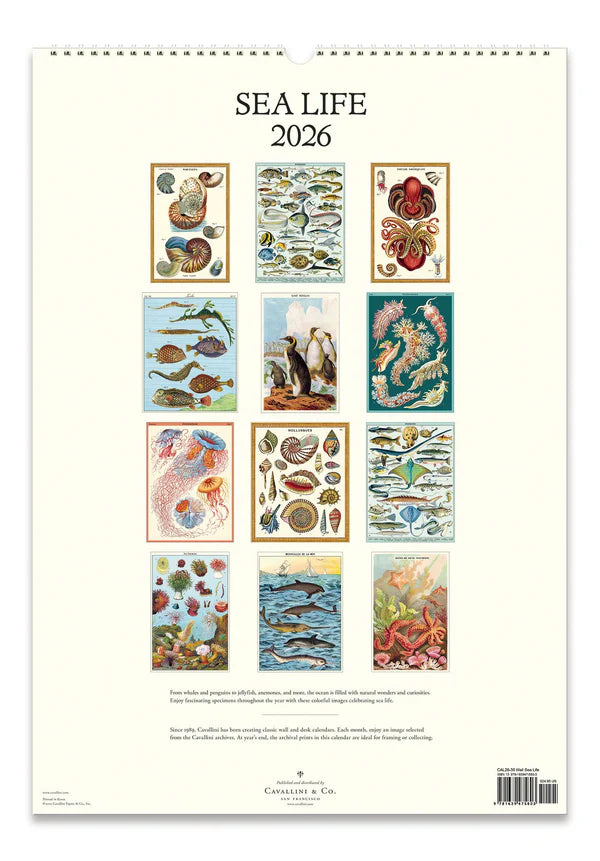 Sea Life 2026 Calendar