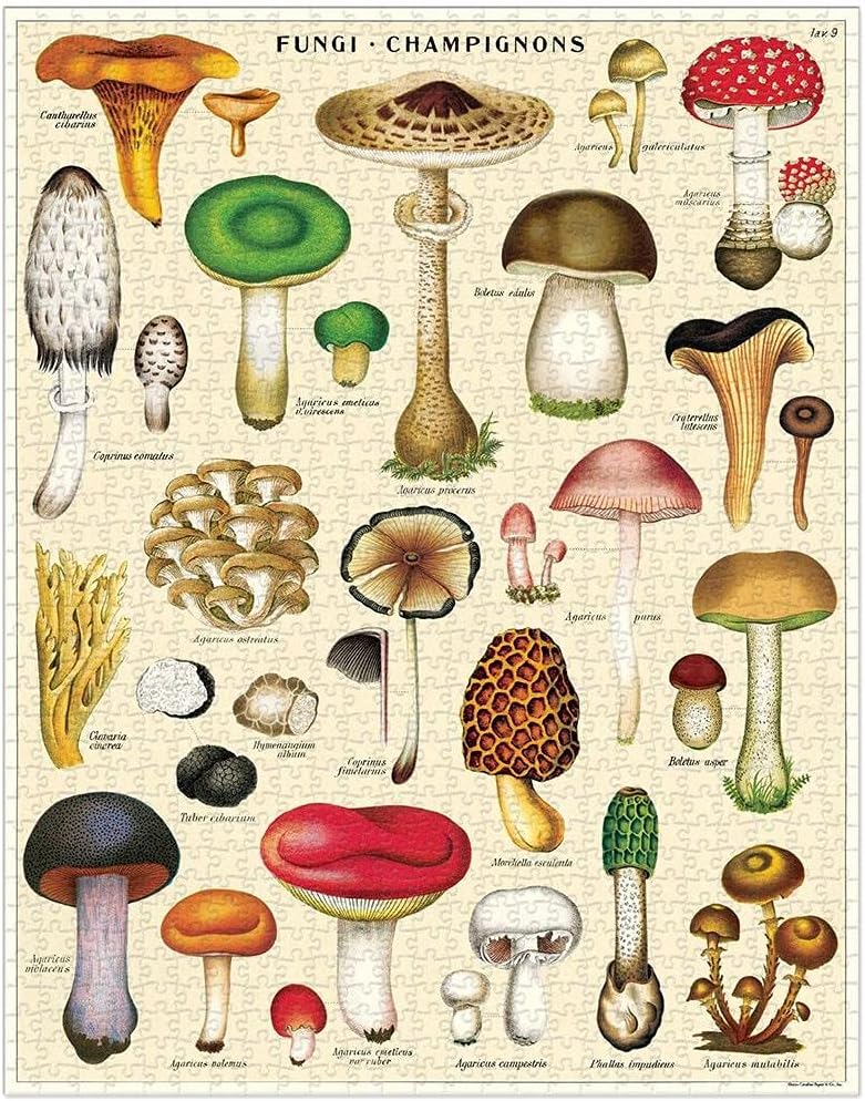 Mushrooms Puzzle