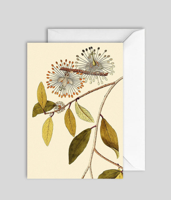 Flower & Leaves Greeting Card