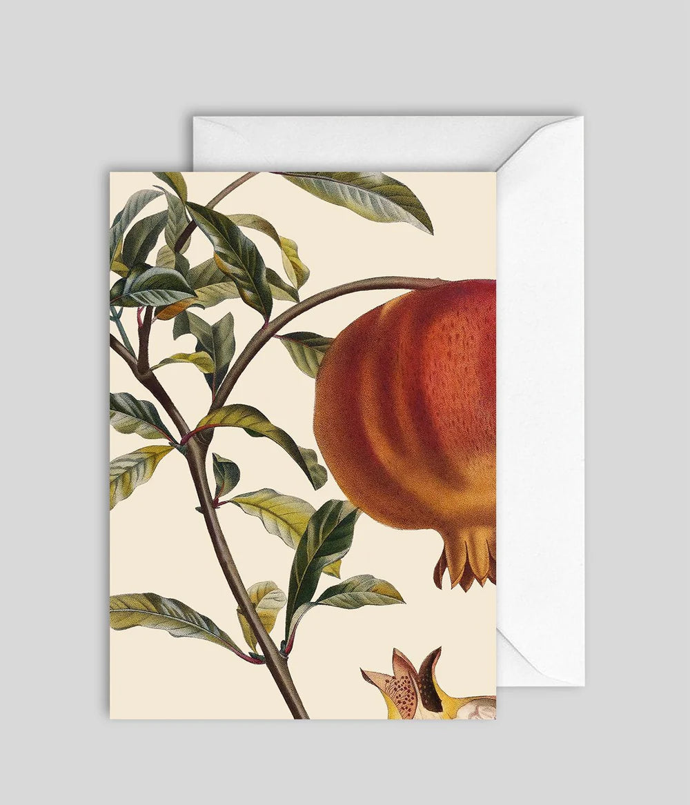 Pomegranate Greeting Card