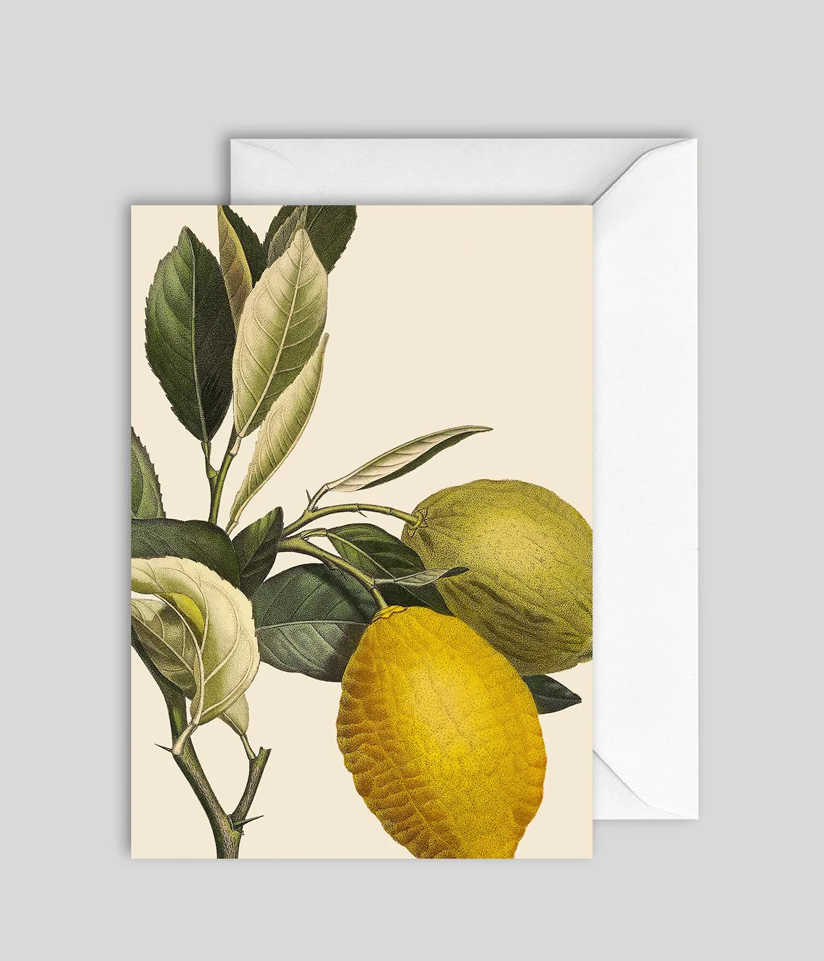 Vintage Lemons Greeting Card