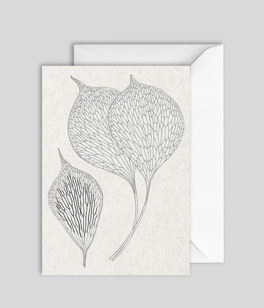 B&W Leaves Greeting Card