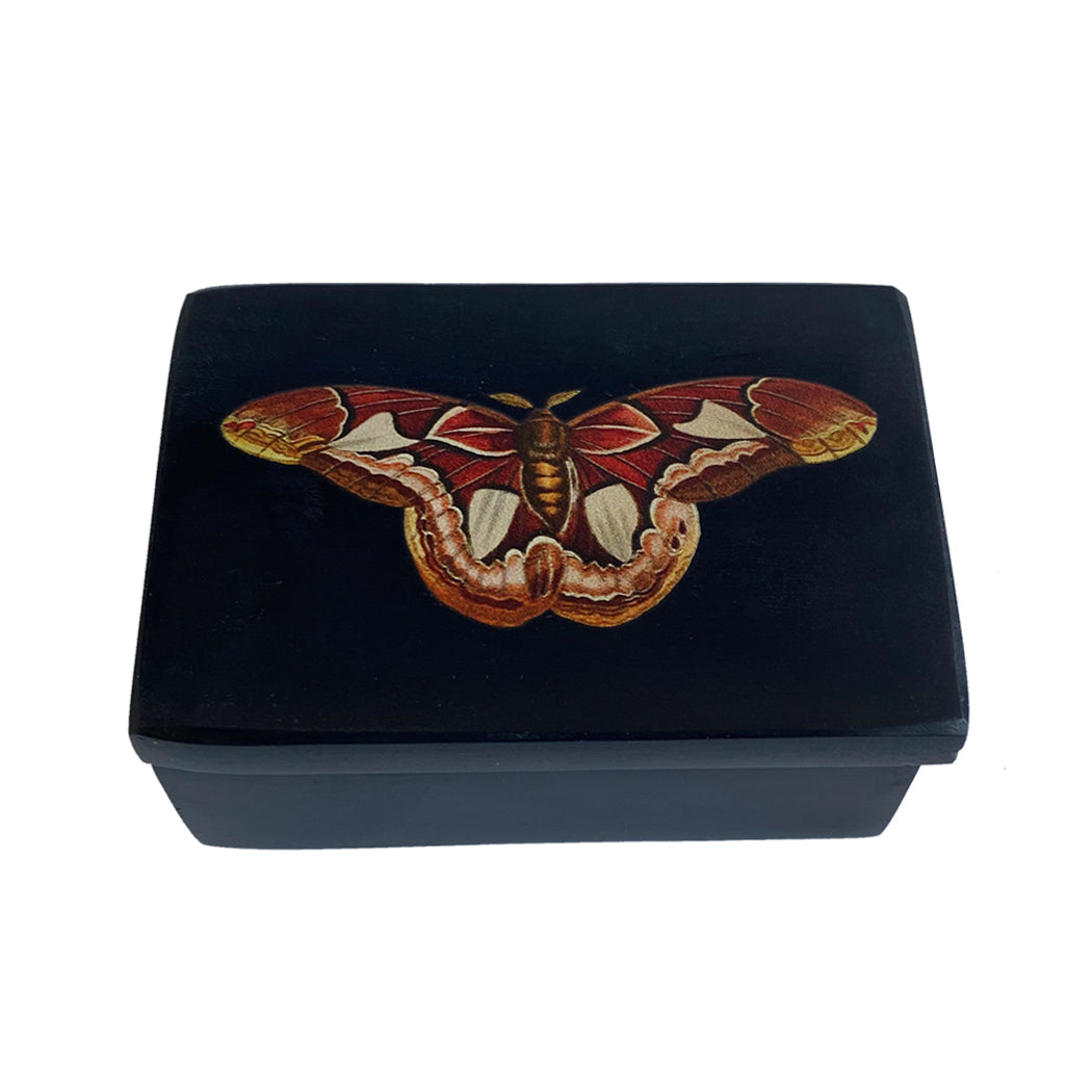 3″ Atlas Moth Black Soapstone Trinket Box