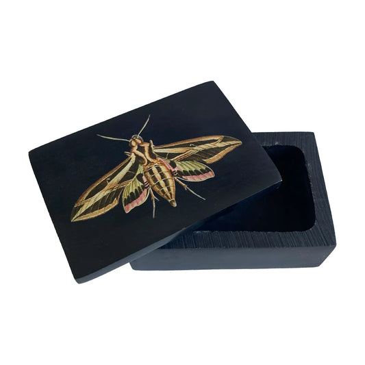 3″ Sphinx Moth Black Soapstone Trinket Box