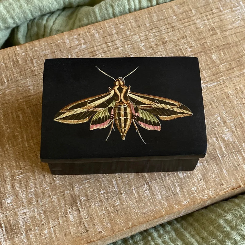 3″ Sphinx Moth Black Soapstone Trinket Box