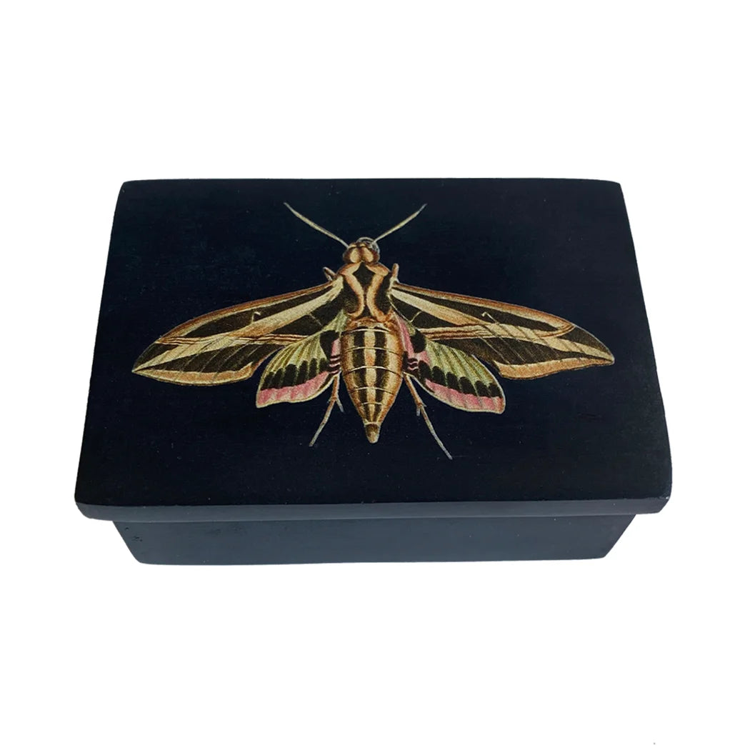 3″ Sphinx Moth Black Soapstone Trinket Box