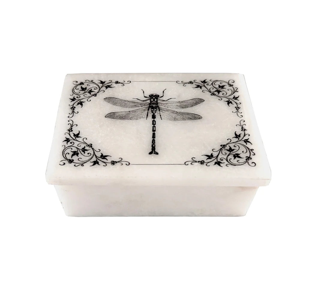 3″ Dragonfly with Vine Border White Soapstone Decorative Box