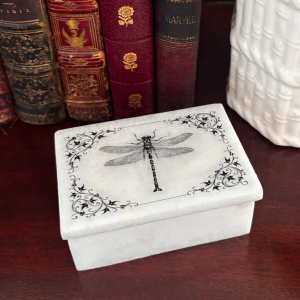 3″ Dragonfly with Vine Border White Soapstone Decorative Box