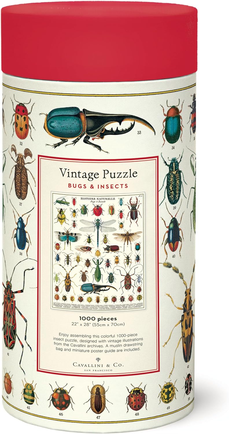 Insects and  Bugs Puzzle