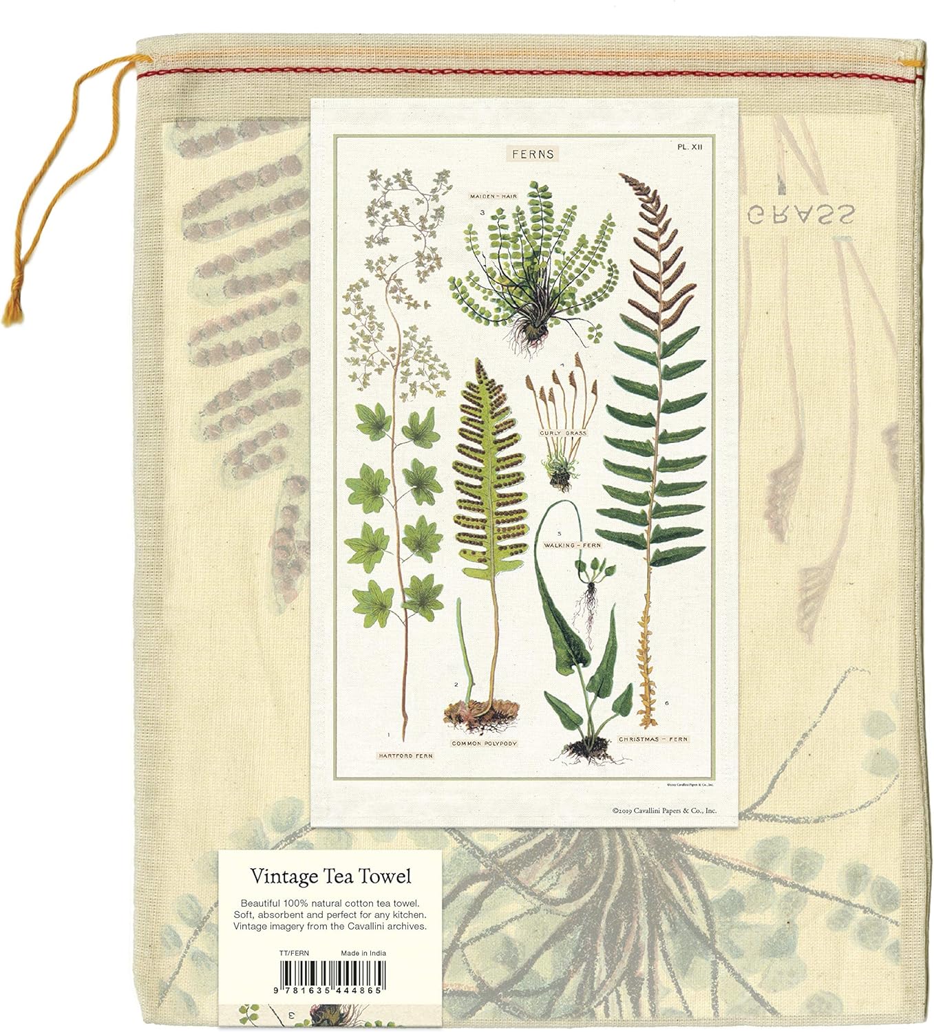 Ferns Tea Towel