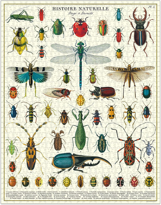 Insects and  Bugs Puzzle