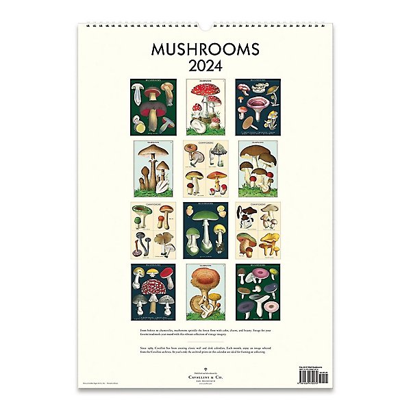 Mushrooms Wall Calendar