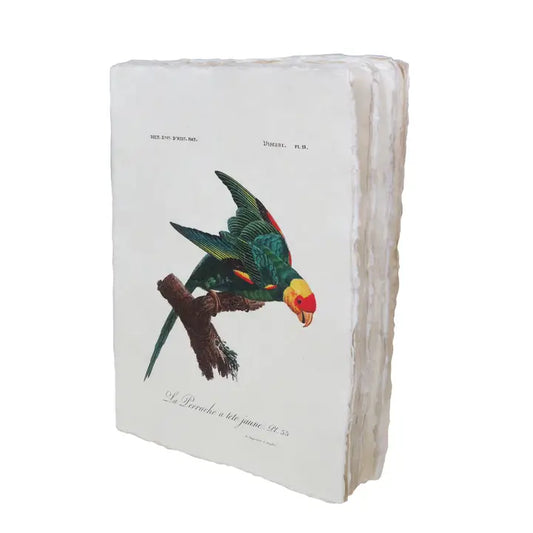 Tropical Bird Large Parchment Notebook