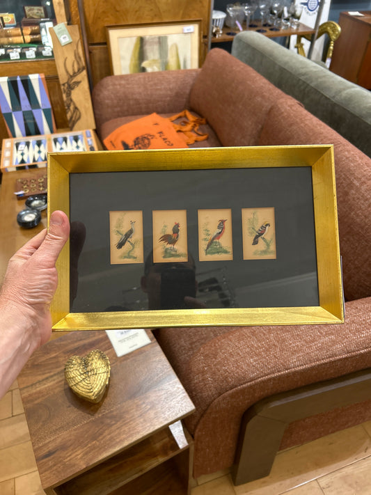 Vintage Framed Bird Art (Watercolor & Feathers)
