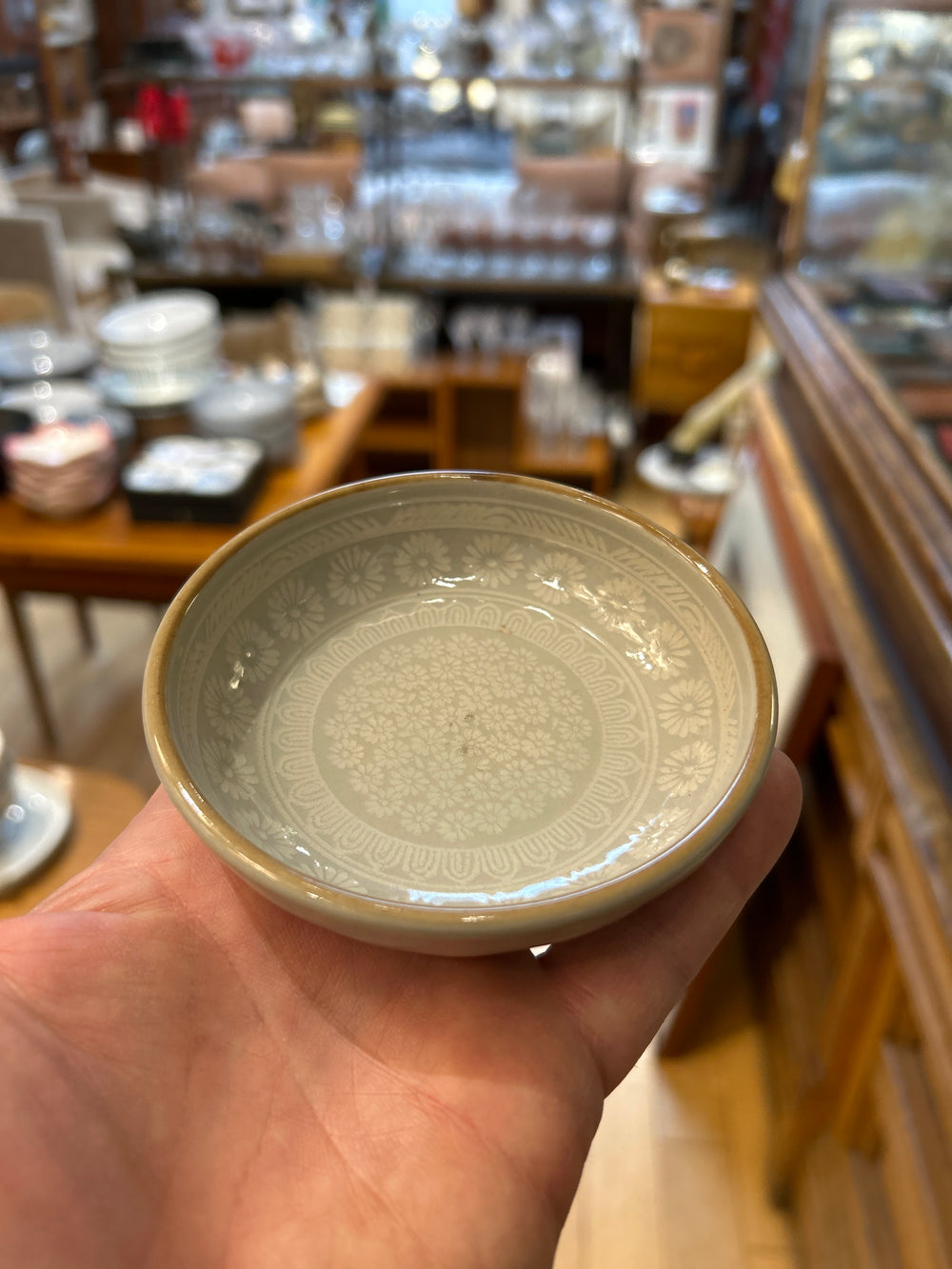 Shallow Bowl