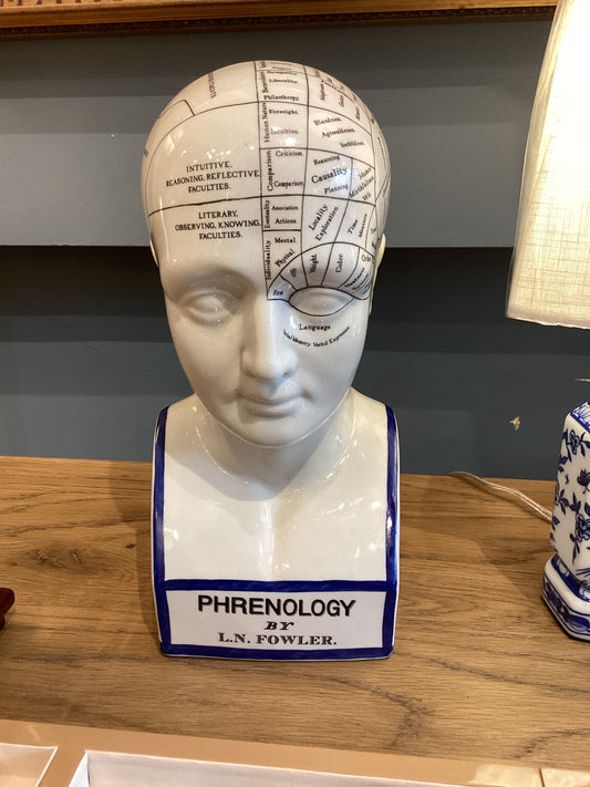 Large Phrenology Head