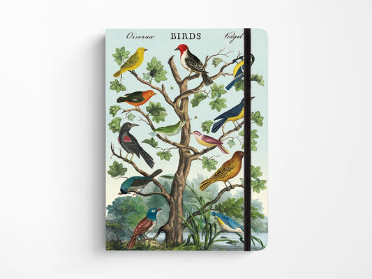 Birds Large Notebook
